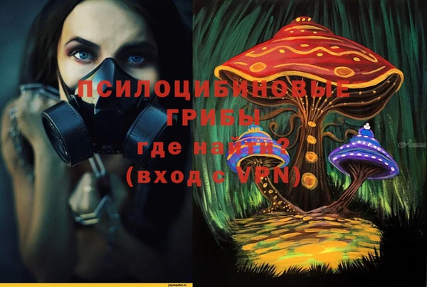 стафф Барнаул