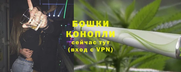 стафф Барнаул