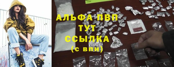 ешки Тольятти