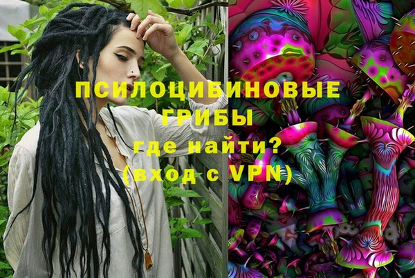 ешки Тольятти