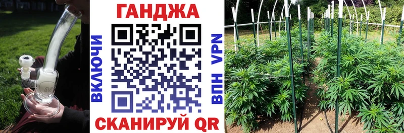 Конопля Bruce Banner  hydra   Аркадак 